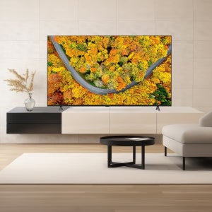 LG 울트라 HD 86인치 86UR642S0NC