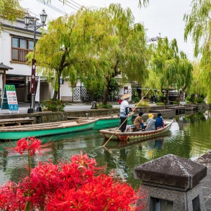 요카부스 녹차밭 당일 투어: 야메 & 야나가와 뱃놀이 (후쿠오카)