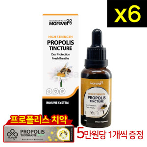 모에버 모에버 <b>프로폴리스 팅쳐 30ml</b> 6개
