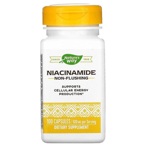 Nature’s Way, 나이아신아미드, 500mg, 100캡슐