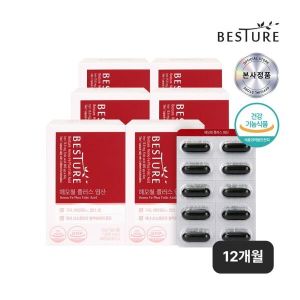 베스처헤모철 플러스 <b>엽산</b> 60캡슐 6박스(12개월분)