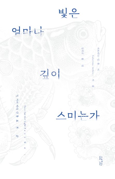 빛은 얼마나 깊이 스미는가  : 열 가지 바다 생물로 본 삶 표지