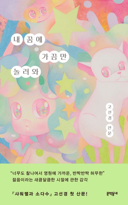 내 꿈에 가끔만 놀러와  : 고선경 산문