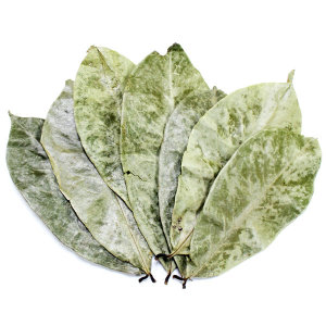 <b>그라비올라</b> 잎 차 500g