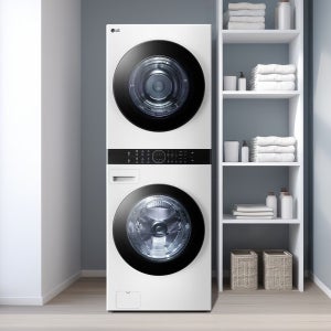 LG 트롬 오브제컬렉션 워시타워 W20WHN