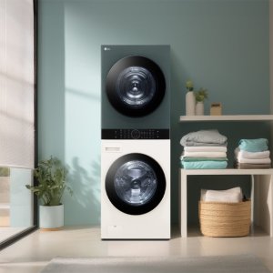 [으뜸효율 대상] LG 트롬 오브제컬렉션 워시타워 W21EGAM