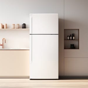 LG 오브제컬렉션 일반냉장고 507L D502MEE33