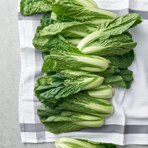 얼갈이 1kg