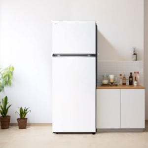 LG 디오스 냉장고 461L D463MHH33