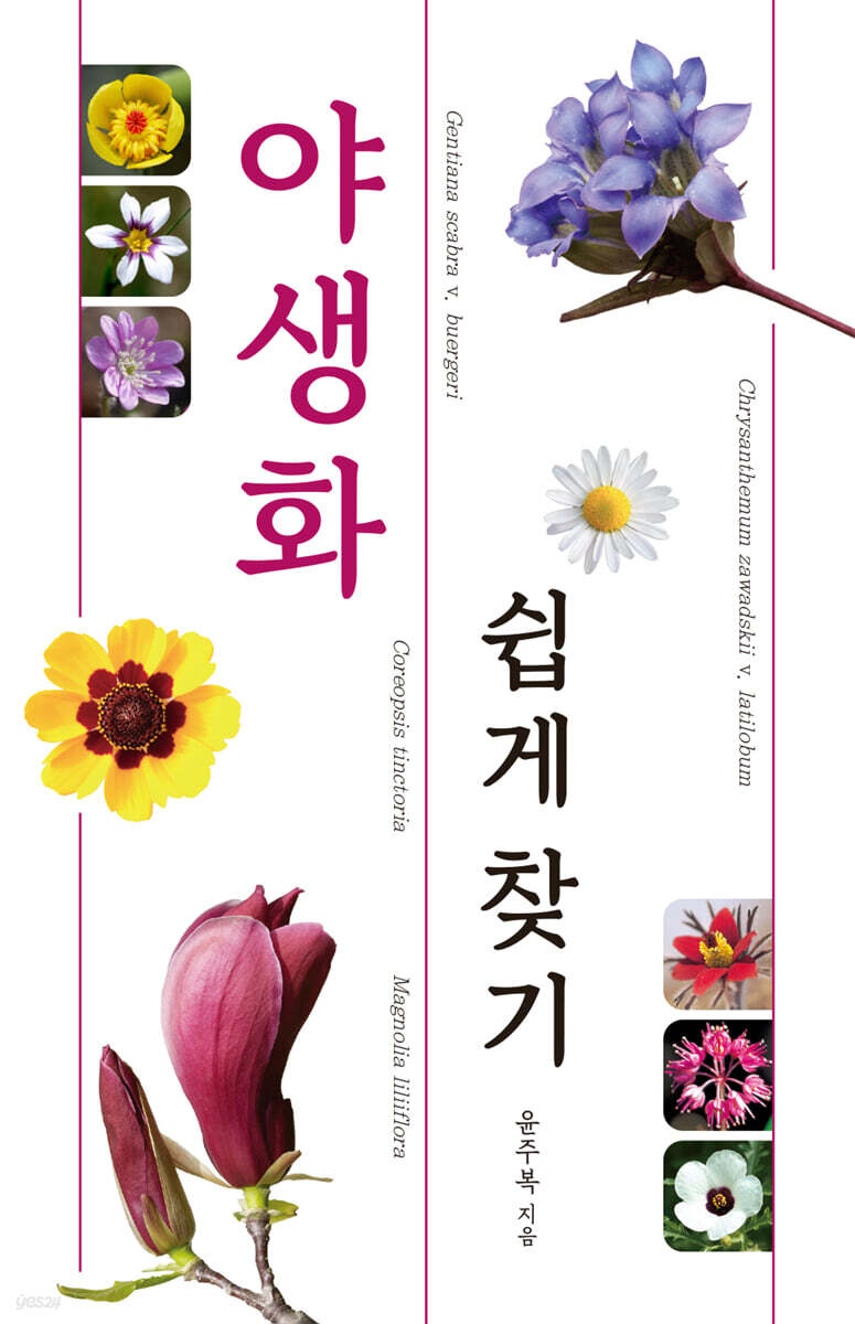 야생화 쉽게 찾기: 야생화를 쉽게 찾고 공부하는 도감