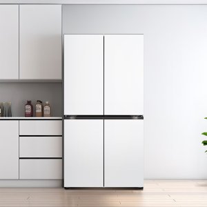 LG 디오스 오브제컬렉션 매직스페이스 냉장고 870L 1등급 T875MHH111