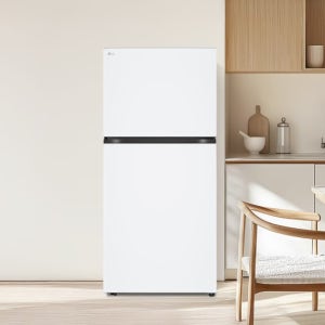 LG 디오스 오브제컬렉션 냉장고 D604MQQ33