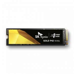SK하이닉스 Gold P42 M.2 NVMe (1TB)
