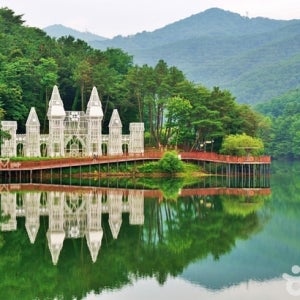 제천/영주 2일 #KTX#최강별미#한우먹방