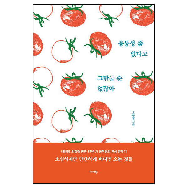 융통성좀없다고그만둘순없잖아:내향형,외향형반반35년차공무원의인생분투기