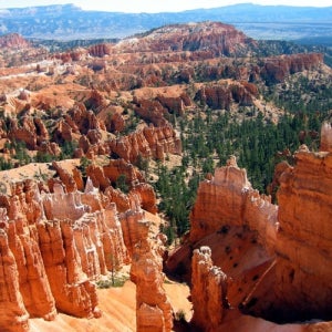 광고 메인 이미지