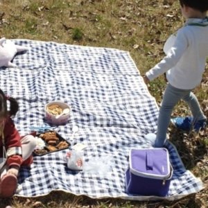 디어커스 피크닉 체크 돗자리