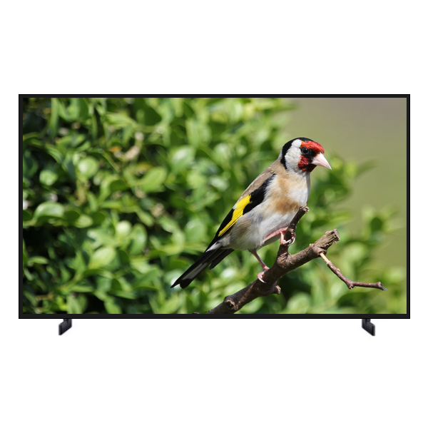 삼성전자 삼성 2024 QLED 4K QD67 189cm(75인치) (KQ75QD67AFXKR), 스탠드