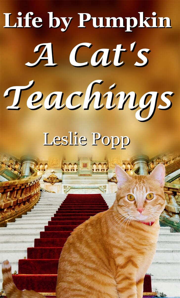 Life by Pumpkin (A Cat’s Teachings)