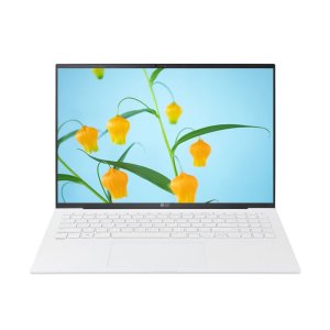 LG전자 LG그램 16ZD90SU-GX56K 노트북