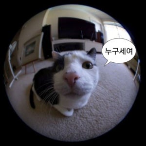 광고 메인 이미지