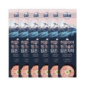 페리오 히말라야 핑크솔트 치약 플로럴민트 100g 6개