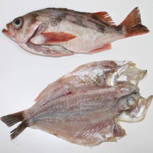 볼락 제주산볼락 300g이상 3마리/구이 튀김용