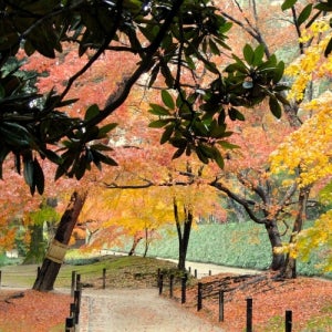 일본 모두투어 단체패키지 가족 인천 일정 주고쿠패키지 휴양