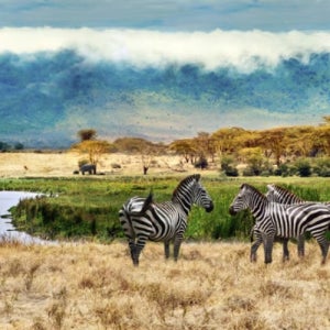 준비 인천출발 아프리카 우정패키지 예약 칠순 잠비아패키지여행