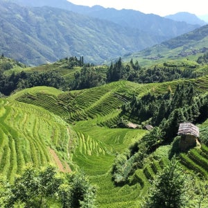 연인 우정 인천 커플여행 단체광저우패키지 해외투어