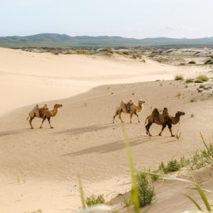 패키지 몽골 얼리버드 단독 테를지패키지여행 인천 모두여행