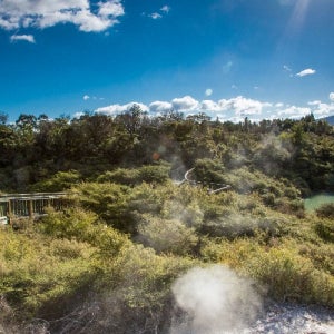 태교 단체패키지 우정 홈쇼핑 브리즈번패키지여행 호주 하나투어