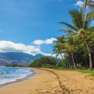 광고 메인 이미지