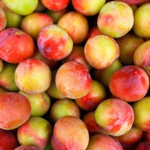 국내산 하우스 자두 중과 600g 14-17과