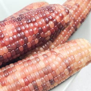 찰기 가득 실온보관 흑찰 옥수수 레토르트 300g(2개입) 4봉