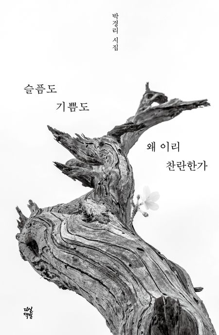슬픔도기쁨도왜이리찬란한가