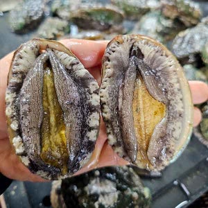 산소포장 완도 활 전복 왕특대 1kg 8미
