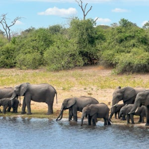 EK 비즈니스 아프리카 일주 6개국 13일