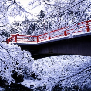 롯데관광 [KE][품격] 니가타X특급료칸3일