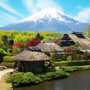 NS홈쇼핑 도쿄 핵심4일 도쿄/하코네/요코하마