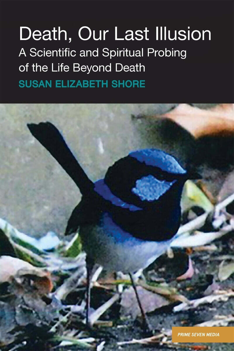 Death, Our Last Illusion (A Scientific and Spiritual Probing of the Life Beyond Death.)