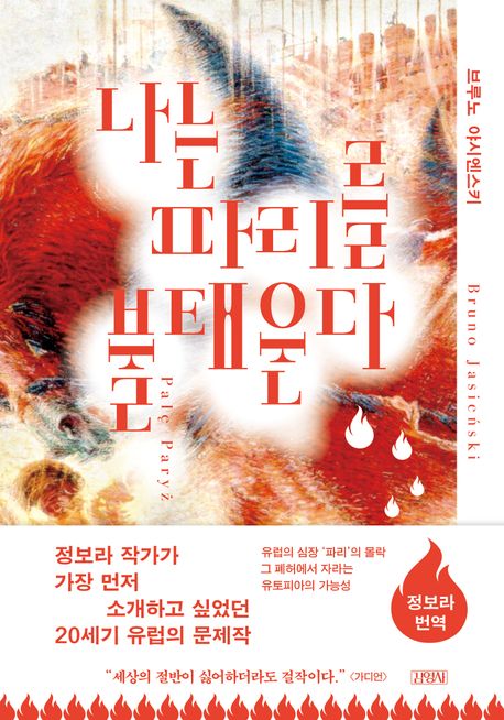 나는 파리를 불태운다 표지