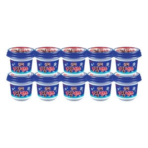[롯데웰푸드] 찰떡 일품 팥빙수 아이스크림 240ml X10개