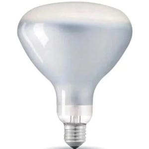 Flos RF32366 LED Lamp 12W E27 220-240V 2700K R125 8545722106201