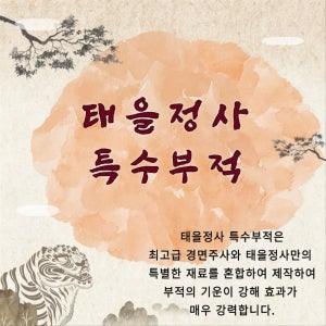 2025년 행운/애정/재회/금전/재수부적(특수부적), 태을정사 특수부적