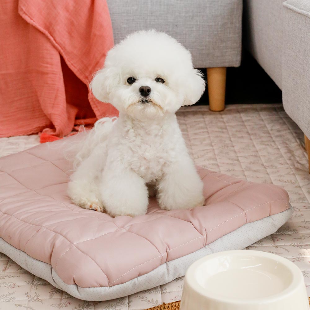 아망떼 먼지없은 알러지케어 강아지 고양이 펫 방석 쿠션 침대방석