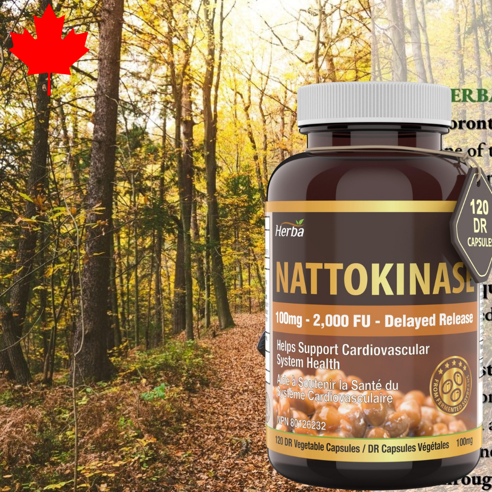 <b>순수 나토키나제</b> 일본 낫토 천연 효소 심장건강 장수비결 효능 2000FU 120정  1개