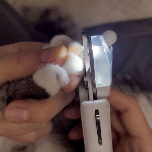 [몬스터라이트] 스키퍼즈 반려동물 LED 네일클리 고양이 강아지 발톱깎이_sn_1