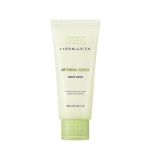 브링그린 사철쑥카밍EX수분크림 100ml
