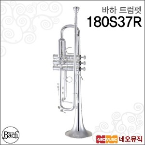 Bach Stradivarius 180S37 Trumpet (바흐 스트라디바리우스 트럼펫)